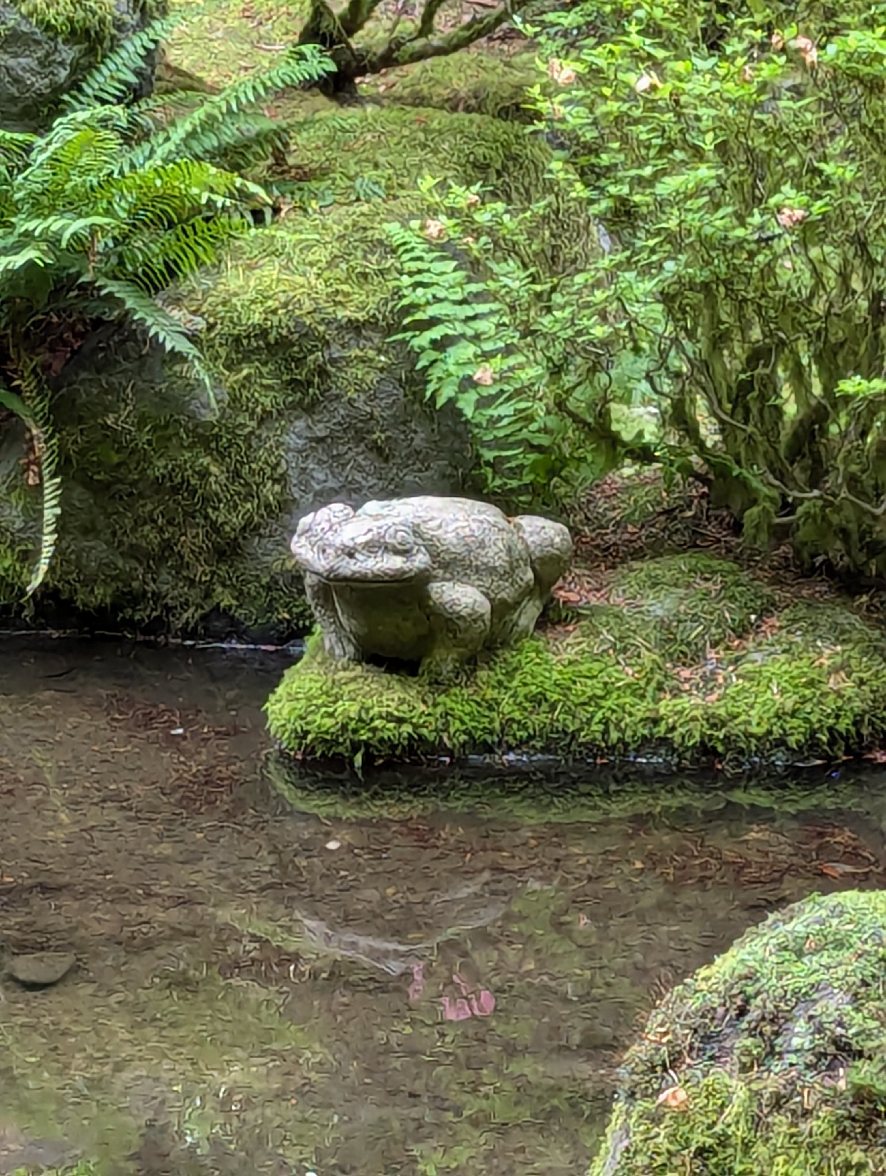 Botanical Gardens Concrete Frog